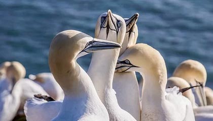 九游体育-天津男篮主场迎战浙江男篮