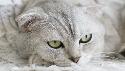 九游体育-天津男篮主场迎战浙江男篮