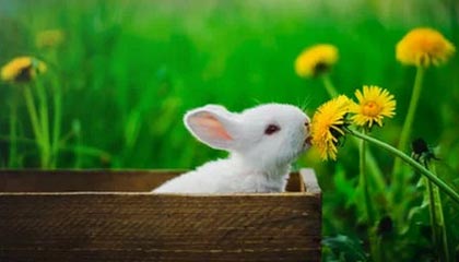 九游体育-天津男篮主场迎战浙江男篮